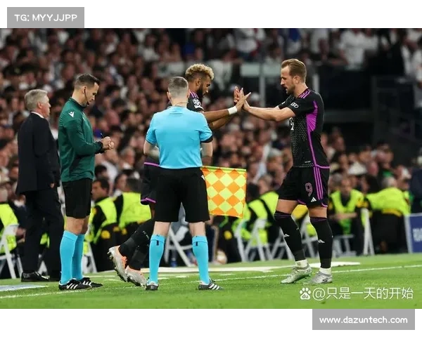 哈里凯恩五大成就解析：从英超射手王到国际赛场的传奇之路